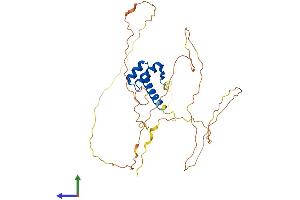 Protein Structure (PS) image for Orthodenticle Homeobox 1 (OTX1) (AA 1-355) protein (His tag) (ABIN7556738)