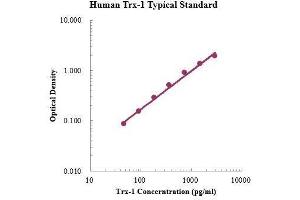 Thioredoxin (TXN) ELISA Kit