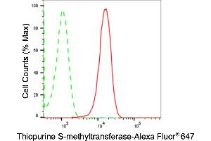 Flow cytometric analysis of Thiopurine S-methyltransferase expression in HepG2 cells using Thiopurine S-methyltransferase antibody (ABIN7800536), 1:2,000). (Rekombinanter TPMT Antikörper)