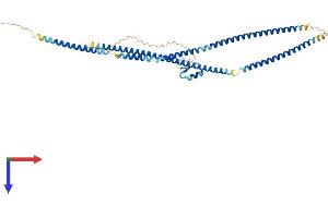 TNIP2 Protein (AA 1-430) (His tag)