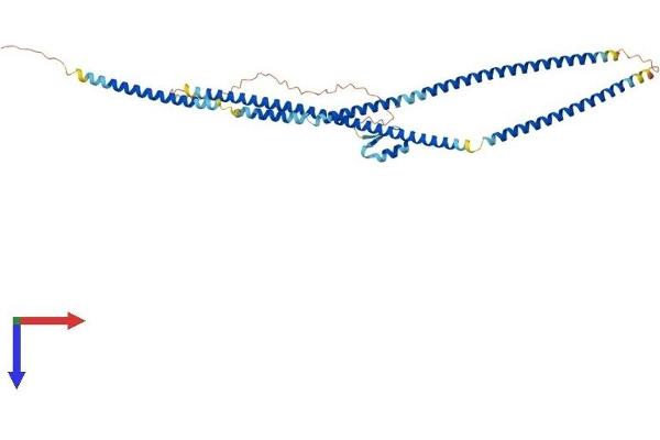 TNIP2 Protein (AA 1-430) (His tag)