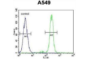 CEP70 Antibody (Center) flow cytometric analysis of A549 cells (right histogram) compared to a negative control cell (left histogram).