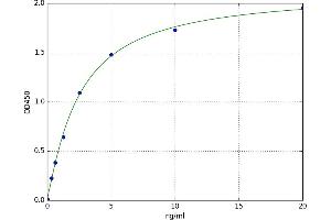Nuclear Factor, Interleukin 3 Regulated (NFIL3) ELISA Kit