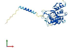 Protein Structure (PS) image for beta-1,3-N-Acetylgalactosaminyltransferase 1 (B3GALNT1) (AA 1-331) protein (His tag) (ABIN7560186)
