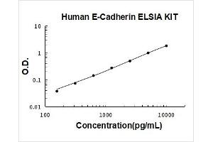 Human E-Cadherin PicoKine ELISA Kit standard curve