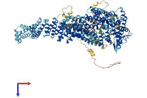 FANCI Protein (AA 1-1328) (His tag)