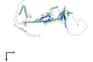 CACTIN Protein (AA 1-758) (His tag)