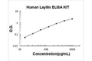 Layilin (LAYN) ELISA Kit