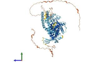 Protein Structure (PS) image for Transient Receptor Potential Cation Channel, Subfamily V, Member 1 (TRPV1) (AA 1-839) protein (His tag) (ABIN7564175)