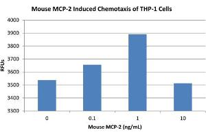 SDS-PAGE of Mouse Monocyte Chemotactic Protein-2 (CCL8) Recombinant Protein Bioactivity of Mouse Monocyte Chemotactic Protein-2 (CCL8) Recombinant Protein. (CCL8 Protein)