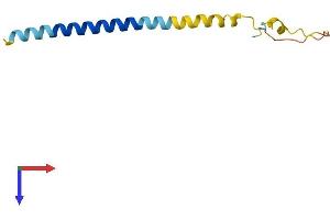 LST1 Protein (AA 1-97) (His tag)