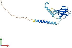 Protein Structure (PS) image for A Kinase (PRKA) Anchor Protein 14 (AKAP14) (AA 1-197) protein (His tag) (ABIN7551937)