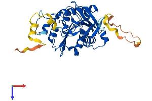 ABHD17C Protein (AA 1-320) (His tag)