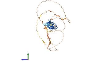 Protein Structure (PS) image for Receptor (Chemosensory) Transporter Protein 3 (RTP3) (AA 1-474) protein (His tag) (ABIN7557506)