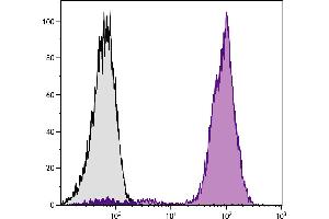 Chicken peripheral blood lymphocytes were stained with Mouse Anti-Chicken CD44-PE. (CD44 Antikörper  (PE))