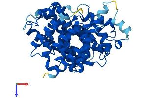 ADPRHL1 Protein (AA 1-353) (His tag)