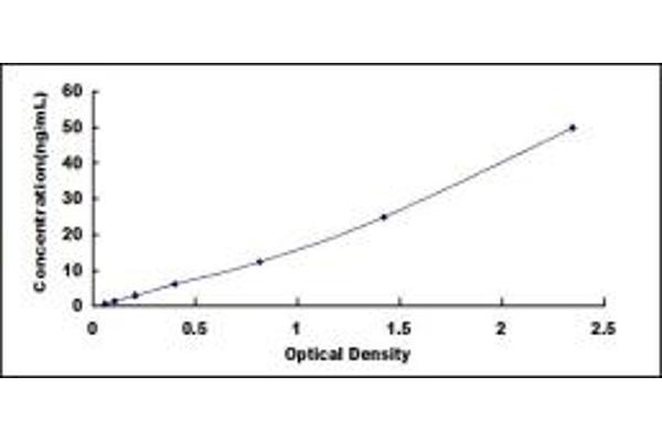 C1q ELISA Kit