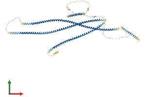 Protein Structure (PS) image for Centrosomal Protein 63kDa (CEP63) (AA 1-700) protein (His tag) (ABIN7563740)