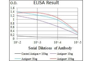 ELISA image for anti-Matrix Metalloproteinase 2 (MMP2) (AA 242-396) antibody (ABIN1844833) (MMP2 Antikörper  (AA 242-396))