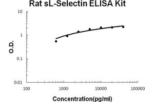 Rat sL-Selectin Accusignal ELISA Kit Rat sL-Selectin AccuSignal ELISA Kit standard curve. (sL-Selectin ELISA Kit)
