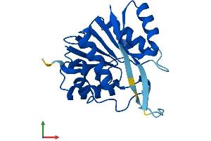AlphaFold protein structure predicition of Mouse Recombinant Mettl5 Protein, UniprotID Q8K1A0