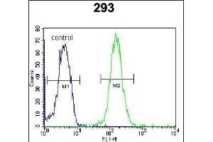 Flow Cytometry (FACS) image for anti-Zinc Finger and BTB Domain-Containing Protein 10 (ZBTB10) (AA 553-582), (C-Term) antibody (ABIN654530)