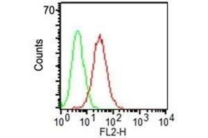 Flow Cytometry of KG-1 cells using CD34 Monoclonal Antibody (ICO-115) (red) and isotype control (green). (CD34 Antikörper)