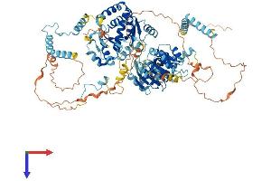 DDX54 Protein (AA 1-874) (His tag)