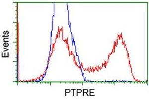 Flow Cytometry (FACS) image for anti-Protein tyrosine Phosphatase, Receptor Type, E (PTPRE) antibody (ABIN1500507)