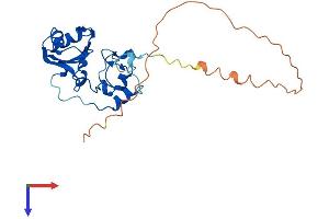 SNRNP35 Protein (AA 1-246) (His tag)