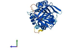 Protein Structure (PS) image for serpin Peptidase Inhibitor, Clade B (Ovalbumin), Member 6 (SERPINB6) (AA 1-376) protein (His tag) (ABIN7546340)