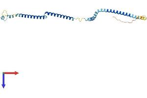 HAUS2 Protein (AA 1-234) (His tag)