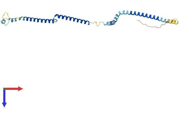 HAUS2 Protein (AA 1-234) (His tag)