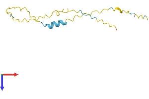 XAGE2 Protein (AA 1-111) (His tag)