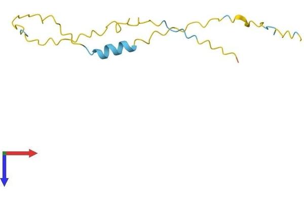 XAGE2 Protein (AA 1-111) (His tag)