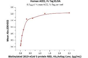 Immobilized Human ACE2, Fc Tag (MALS verified) ( ABIN6952459) at 2 μg/mL (100 μL/well) can bind Biotinylated 2019-nCoV S protein RBD, His,Avitag (MALS verified) ( ABIN6952456) with a linear range of 0. (ACE2 Protein (Fc Tag))