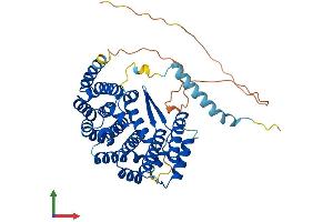Protein Structure (PS) image for Interferon Related Developmental Regulator 1 (IFRD1) (AA 1-449) protein (His tag) (ABIN7562936)