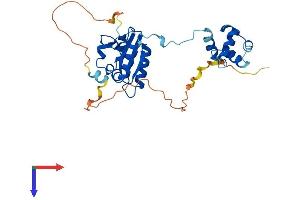 ERCC1 Protein (AA 1-297) (His tag)
