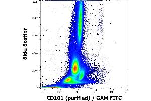 Flow cytometry surface staining pattern of human peripheral whole blood stained using anti-human CD101 (BB27) purified antibody (concentration in sample 0,56 μg/mL, GAM FITC). (CD101 Antikörper)