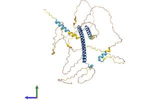 Protein Structure (PS) image for Nuclear Factor, Interleukin 3 Regulated (NFIL3) (AA 1-462) protein (His tag) (ABIN7554706)
