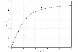 A typical standard curve
