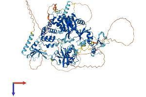 LIG3 Protein (AA 1-1015) (His tag)