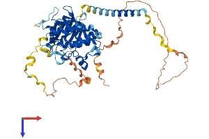 PKMYT1 Protein (AA 1-490) (His tag)