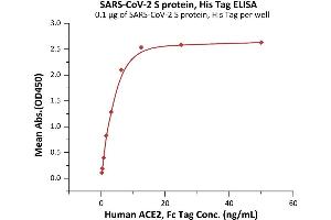 Immobilized SARS-CoV-2 S protein, His Tag (ABIN6973219) at 1 μg/mL (100 μL/well) can bind Human ACE2, Fc Tag (ABIN6952459,ABIN6952465) with a linear range of 0. (SARS-CoV-2 Spike Protein (P.1 - gamma) (His tag))