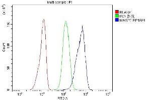 Flow Cytometry analysis of A431 cells using anti-MASP2 antibody (ABIN7602762). (MASP2 Antikörper  (C-Term))