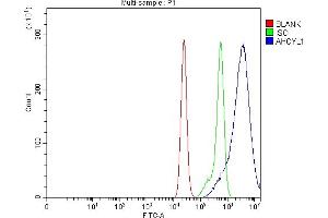 Flow Cytometry analysis of CACO-2 cells using anti-IRBIT/AHCYL1 antibody (ABIN7600030).