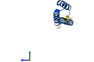 Protein Structure (PS) image for LYR Motif Containing 5 (LYRM5) (AA 1-90) protein (His tag) (ABIN7549215)