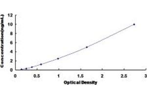 Typical standard curve (BAT3 ELISA Kit)