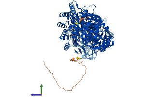 Protein Structure (PS) image for Aminopeptidase Puromycin Sensitive (NPEPPS) (AA 1-920) protein (His tag) (ABIN7563628)