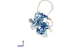 Protein Structure (PS) image for Parkinson Protein 2, E3 Ubiquitin Protein Ligase (Parkin) (PARK2) (AA 1-465) protein (His tag) (ABIN7555042)